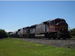 BNSF 8229 WEST